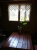 white birch house