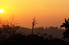 Jungle Sunrise