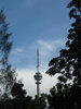 Telecommunication Tower