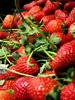 Fresh Red Strawberries