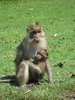 Breast feeding