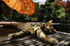Relax