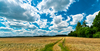 Fields and Blue Sky