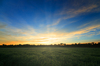 Sunrise on Fields