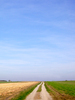 Simple Field Path