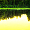 Sunset on Lake
