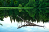 Silence on the Lake