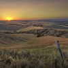 Farm in Tuscany