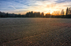 November Sunset on Field