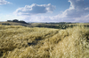 Tuscany Farm and Fields