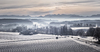 Morning on Winter Landscape