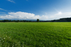 Green Field Landscape