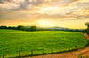 Farmland Sunset