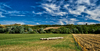Tuscany Landscape
