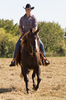 Equitation - Western Riding