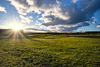 Sunset on green Field Landscap