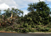 storm damage4