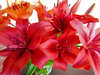 lily display2