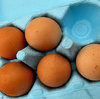 egg pack7