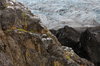 Iceland's landscape 7