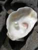 pearl