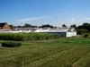 glass houses and fields 2