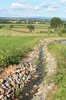 Artificial stream