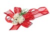 gift bow