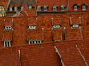 Roofs