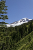 Mount Baker