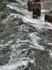 riding the rapids2