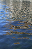 Reflections