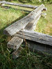 cedar fence