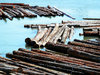 log boom