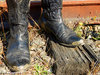 cowboy boots