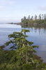 Pacific Ocean inlet