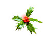 Holly with berries