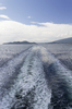 Boat wake