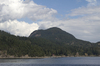 Green island