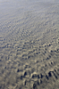 Sand texture