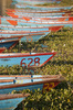 Boats for rent in Pokhara