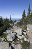 Mountain track