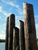 pilings