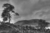 Scottish landscape in b and w