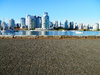 sea wall