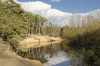 Small river at De Lutte