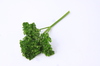 Parsley