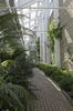 Modern greenhouse
