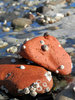 beach bricks