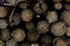 stack of logs